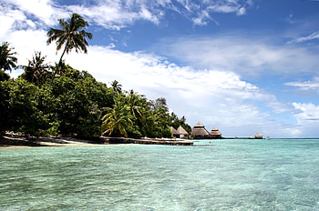 Nature, Palms, Shore, Bank, Ocean, Island, Bay, Maldives HD wallpaper