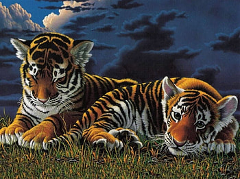 tiger cubs painting, cubs, tiger, art, painted HD wallpaper