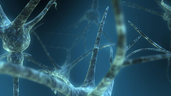pics stunning brain cells circuit neurons 3d macro quality background HD wallpaper