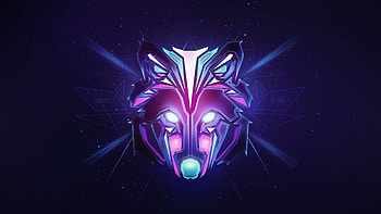 Wolf, Facets HD wallpaper