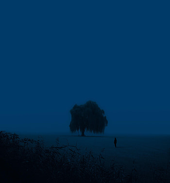 Twilight, Silhouette, Miscellanea, Miscellaneous, Wood, Tree, Dusk, Human, Person, Loneliness HD phone wallpaper