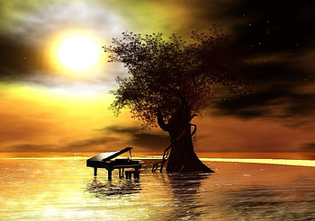 Chouchou Tree, chouchou, tree HD wallpaper