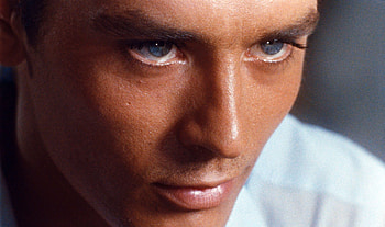 Alain Delon, Queer & Now, 1960, Film analysis HD wallpaper
