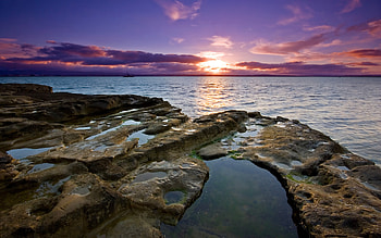 Auckland Sunset, sunset, nature, auckland, graphy HD wallpaper