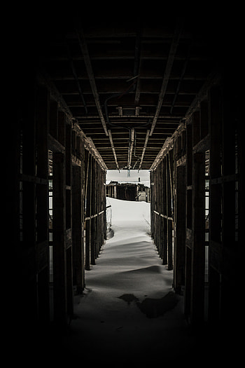 Snow, Dark, Miscellanea, Miscellaneous, Wood, Wooden, Drifts, Tunnel HD phone wallpaper