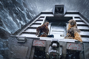 Solo A Star Wars Story , solo-a-star-wars-story, 2018-movies, movies HD wallpaper