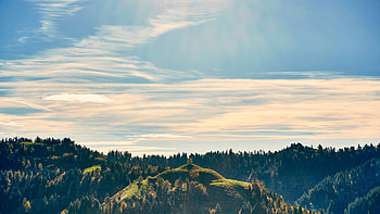Nature, Trees, Sky, Forest, Hill HD wallpaper