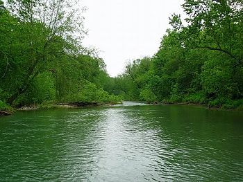 Wide Opened and Shiny Water, river, sky, water, tree HD wallpaper