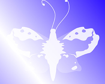 Butterfly - Blue, blue, white, simple, shade, butterfly HD wallpaper