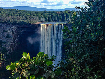 Environmental initiative, Sustainable practices, Conservation efforts, Carbon neutrality HD wallpaper