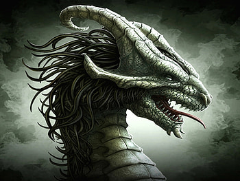 Fantasy, Dragons HD wallpaper