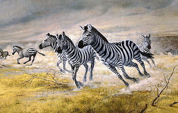 Running zebras, animal, white, black, painting, art, pictura, zebra, persis clayton weirs HD wallpaper