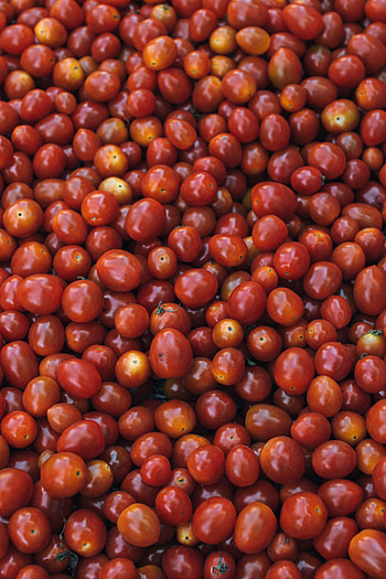 Food, Vegetables, Ripe, Tomatoes HD phone wallpaper