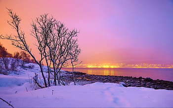 Winter evening, snow, trees, sky, lake, reflections HD wallpaper