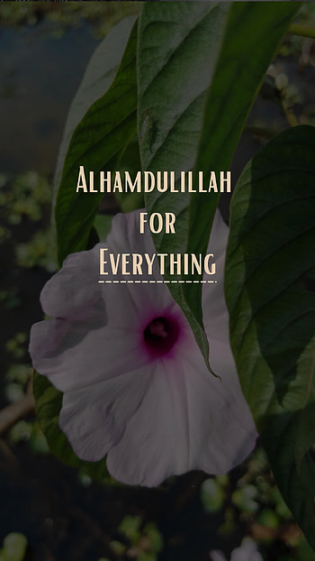 Alhamdulillah, wildflower, petal, Islam, nature, for, Islamic, everything, flower HD phone wallpaper