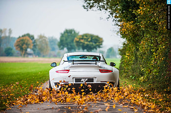Porsche 911 Autumn, porsche-911, porsche, cars, white, autumn HD wallpaper