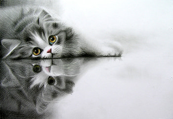 Drawing, Artistic, Painting, Cat, Reflection HD wallpaper