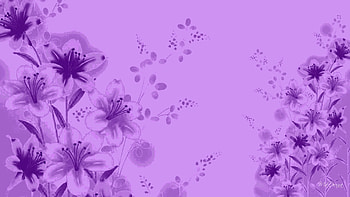 Lavender Colour - , High Definition, High Quality . HD wallpaper