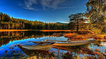 Filled with Rainwater, old, rowboats, hear the loons, autumn, peaceful HD wallpaper