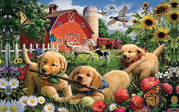 Three Puppies Playing on a Farm, barn, Puppies, dogs, cute, farm, Tractor, spring, playful, summer, sunflowers, Painting, geese HD wallpaper