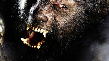 The Wolfman dark werewolf, Atmospheric , Gothic horror, Mysterious creature HD wallpaper