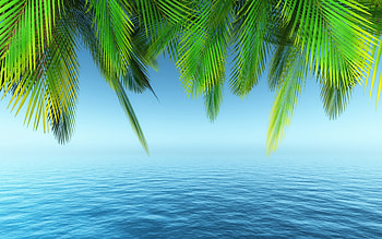 sea, palms frame, blue water, summer, palm trees, water textures HD wallpaper