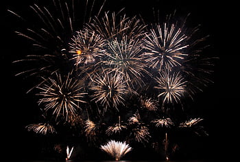 Vibrant fireworks exploding against a dark night sky, perfect for festive celebrations. HD wallpaper