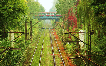 Nature, Vegetation, Greens, Wires, Wire, Way, Paths, Tram, Elsy, Els HD wallpaper
