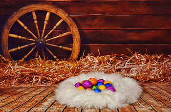 Holidays, Eggs, Easter, Nest, Hay HD wallpaper