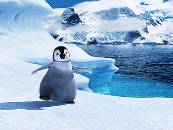 Mumble, Happy Feet HD wallpaper