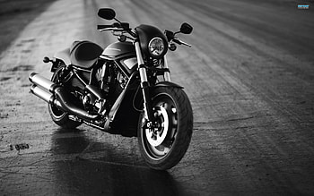 Harley Davidson, Vehicles, Motorcycles HD wallpaper
