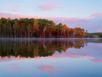 Nature, Trees, Autumn, Lake, Reflection HD wallpaper