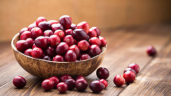 All about cranberries, Nature's gift, Versatile berry, Breakfast revelation HD wallpaper