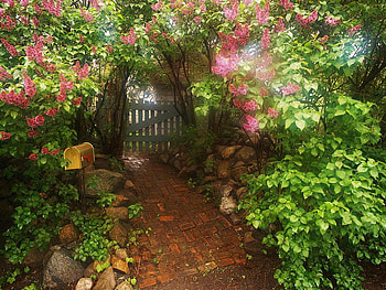 Front entrance., letterbox, path, flower, gate, exit, entrance, tree HD wallpaper