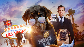 Show Dogs , show-dogs, 2018-movies, movies, dogs HD wallpaper