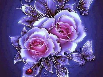 Dual beauty, butterflies, pink, roses, beauty HD wallpaper