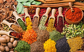 spice&herbs, still life, brown, graphy, green, red, spice, herbs HD wallpaper