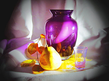 Still Life, vase, flowers, graphy HD wallpaper