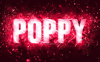 Happy Birtay Poppy, , pink neon lights, Poppy name, creative, Poppy Happy Birtay, Poppy Birtay, popular american female names, with Poppy name, Poppy HD wallpaper