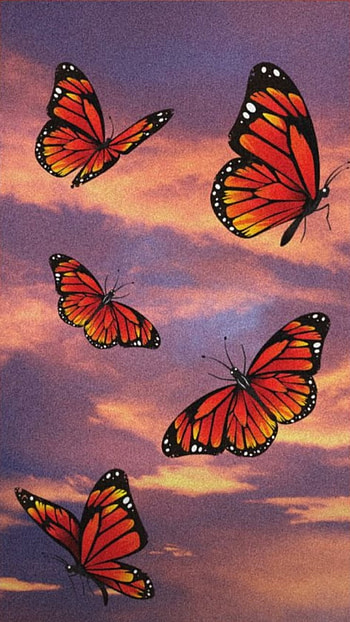 Butterflies, orange, butterfly, black HD phone wallpaper