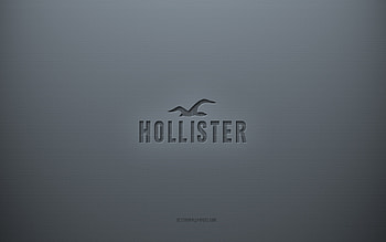 Hollister logo, gray creative background, Hollister emblem, gray paper texture, Hollister, gray background, Hollister 3d logo HD wallpaper