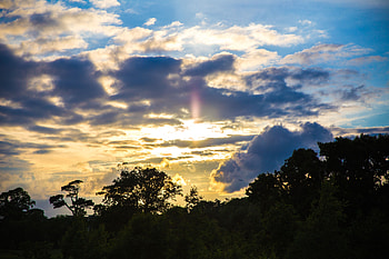 Nature, Trees, Sunset, Sky, Clouds HD wallpaper