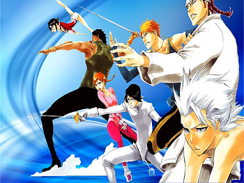 Bleach Sports, ichigo, orihime, toshiro, sado, rukia, ishida, shinigami, quency, chad, renji HD wallpaper