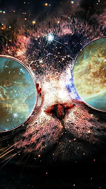Galaxy Cat, Cosmic feline, Starry fantasy, Funny HD phone wallpaper