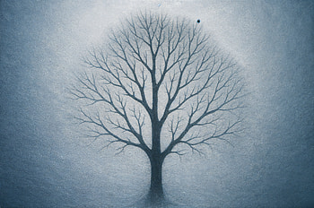 Midnight Halo Tree — Silhouette, Tree Silhouette HD wallpaper