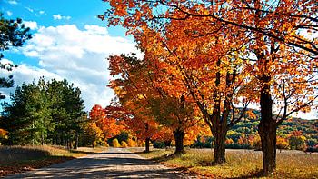 Landscape, Roads, Autumn HD wallpaper