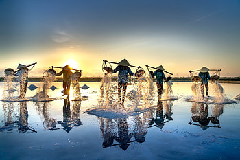 Women working on a salt field at dawn - Hon Khoi, Khanh Hoa province, Vietnam, reflection, graphy, people HD wallpaper