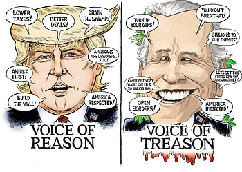 So True, fraud, biden, election, trump HD wallpaper