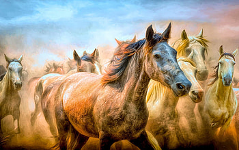 Evening Wildfire, digital, horses, art, animals, herd HD wallpaper