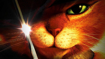 Puss in Boots, The Last Wish animation, Puss in boots , Cartoon film HD wallpaper